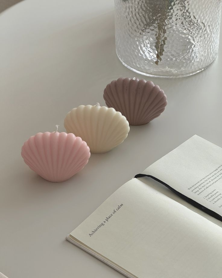 Shell Candle